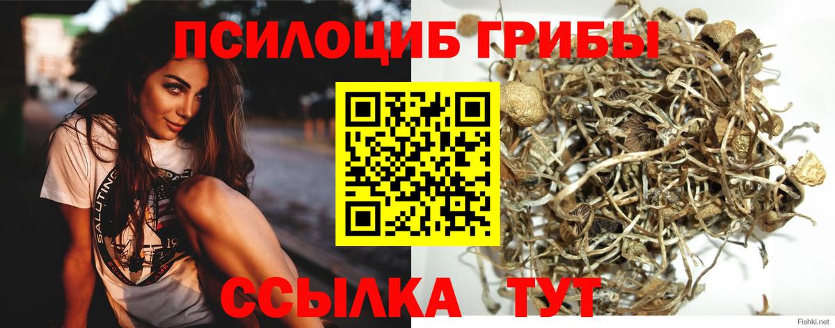 Ефремов  Псилоцибиновые грибы прущие грибы  Вход с VPN 